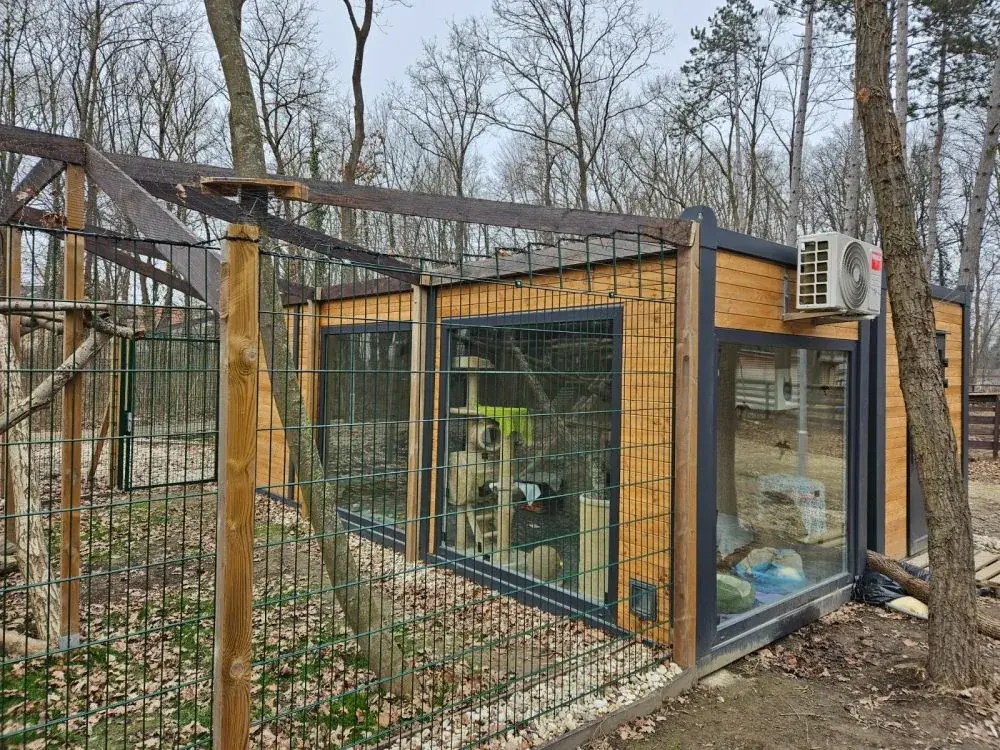 Container per cani e gatti con pareti vetrate